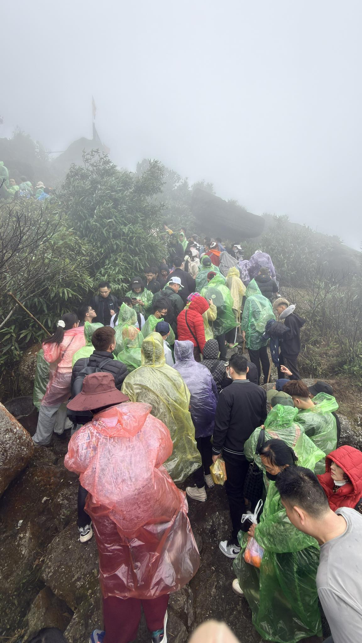 Yên Tử thất thủ, kẹt cứng từ 4h sáng: Du khách đông nghịt, ai cũng cầm 1 chiếc gậy trong tay - Ảnh 7