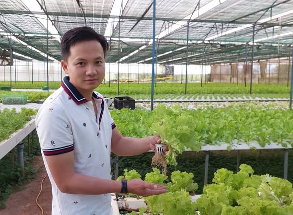 Chàng trai bỏ phố về quê trồng rau, doanh thu gần 20 tỷ/năm, cung ứng cho loạt siêu thị lớn như Co.opmart, VinMart, Aeon - Ảnh 2