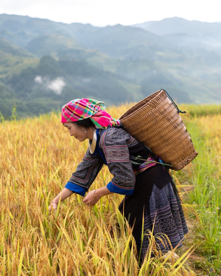 "Hầm tận thế" mở cửa: Việt Nam đã gửi gì? - Ảnh 1