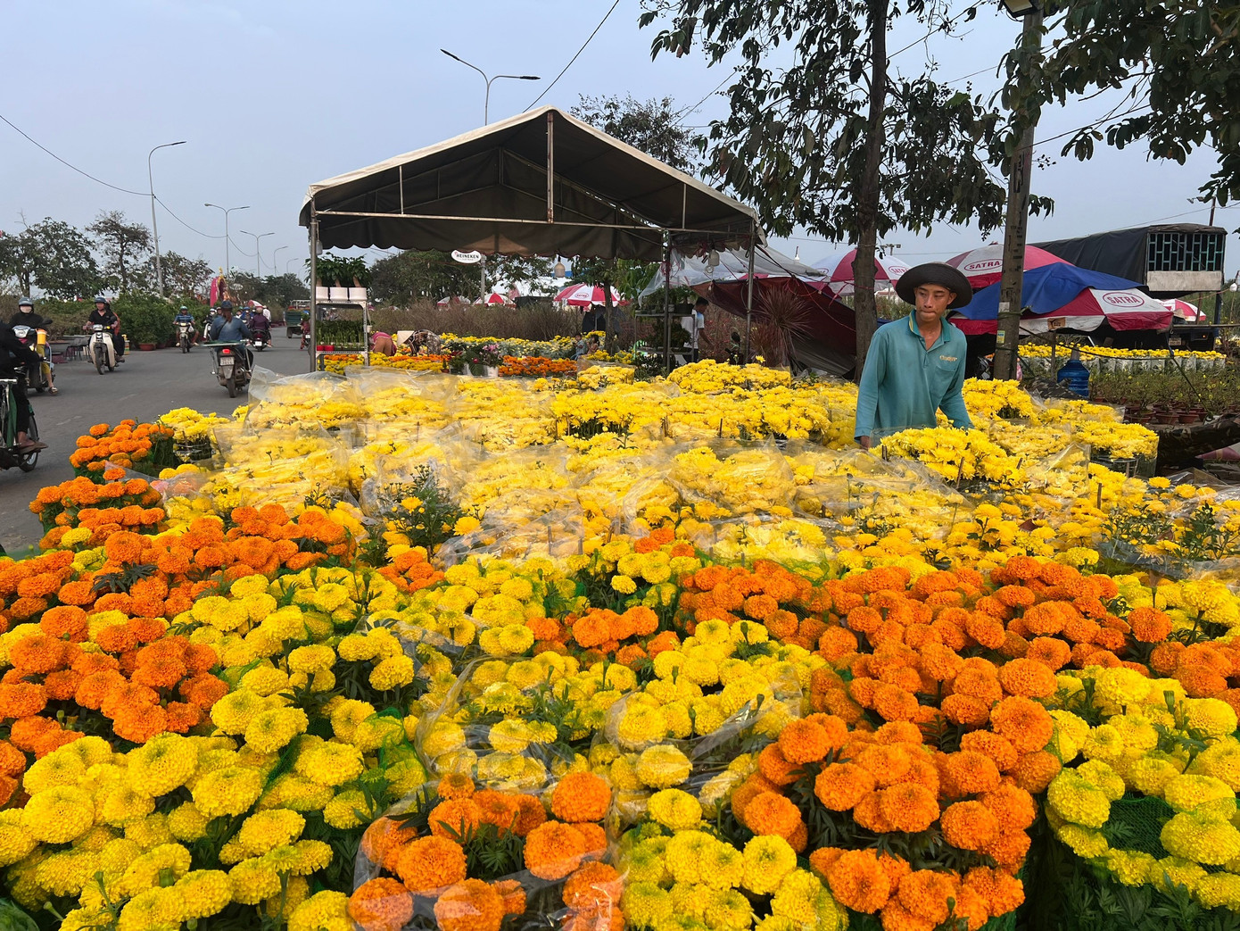 Giá rẻ khó tin: Hoa Tết chỉ 20.000 đồng/chậu ở TPHCM - Ảnh 20