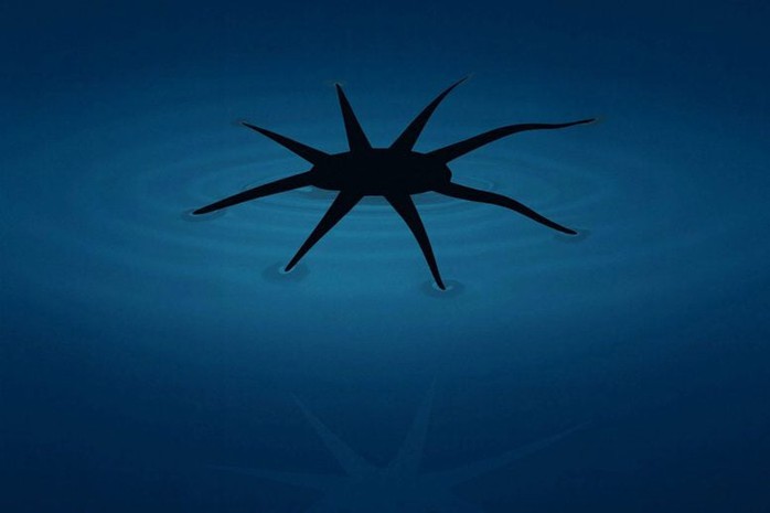 Độc lạ robot: Từ "lai" sinh học đến "da" điện tử - Ảnh 3