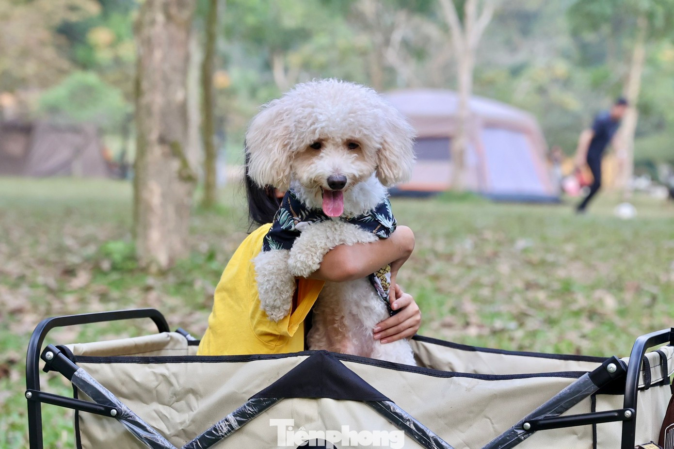 Những điểm cắm trại lý tưởng quanh Hà Nội dịp Tết - Ảnh 7