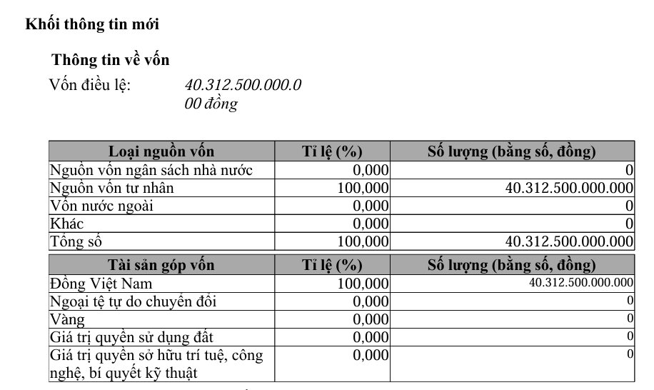Masterise bất ngờ giảm 91% vốn điều lệ, hơn 32.000 tỷ đã chảy sang một công ty mới - Ảnh 2