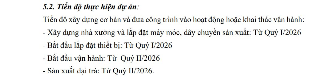 Sau ô tô, VinFast rót 13.000 tỷ xây nhà máy 1 triệu xe máy điện, xe cho người khuyết tật... tại Hà Tĩnh, chạy ngay quý sau - Ảnh 2