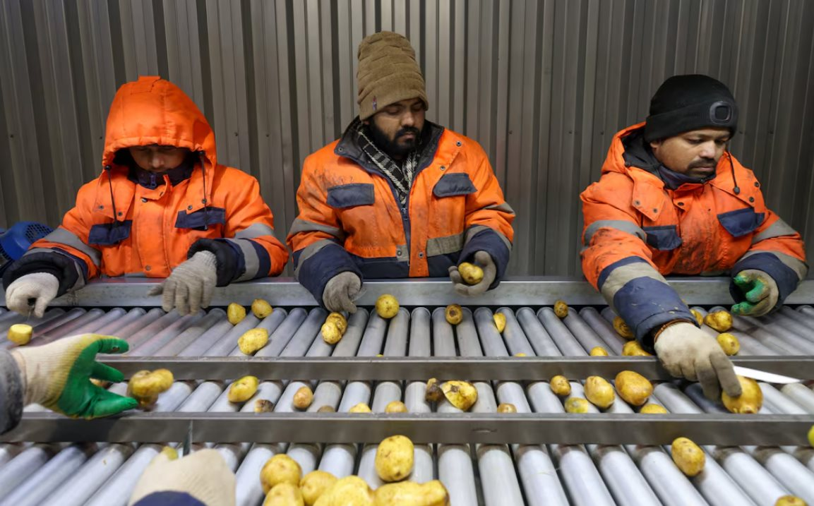 Dầu mỏ dần bị quay lưng, Nga vẫn mở toang cửa, sẵn sàng tiếp nhận ‘không giới hạn’ người lao động của nước này, giải quyết thiếu hụt trầm trọng - Ảnh 2