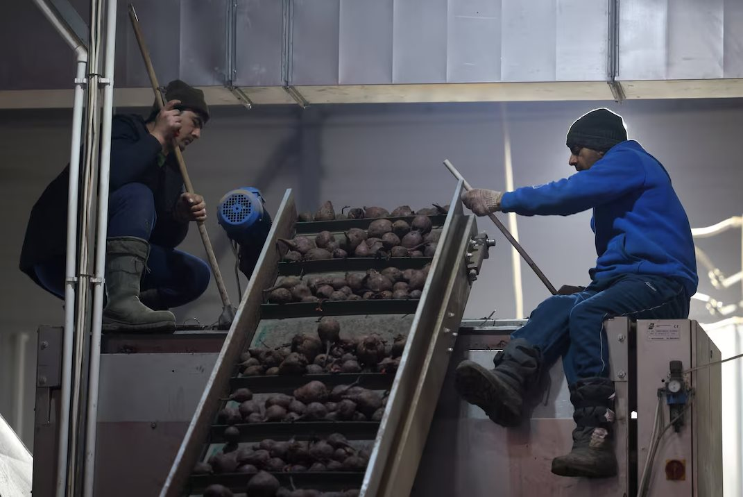 Dầu mỏ dần bị quay lưng, Nga vẫn mở toang cửa, sẵn sàng tiếp nhận ‘không giới hạn’ người lao động của nước này, giải quyết thiếu hụt trầm trọng - Ảnh 1