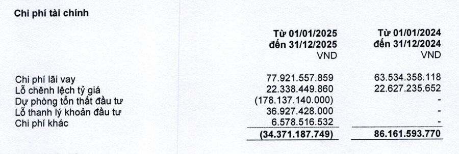 Vietravel báo lỗ Q4, hoàn nhập dự phòng hơn 178 tỷ đồng từ hãng bay do con trai bầu Hiển làm chủ tịch - Ảnh 2