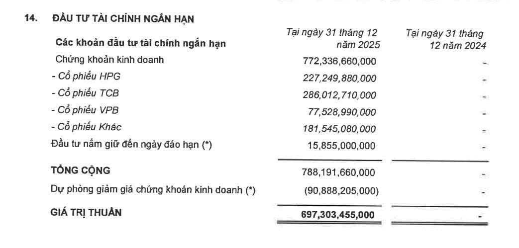 Rót gần 800 tỷ mua HPG, TCB, VPB tạm lỗ 90 tỷ, lãnh đạo Digiworld (DGW) nói gì? - Ảnh 1