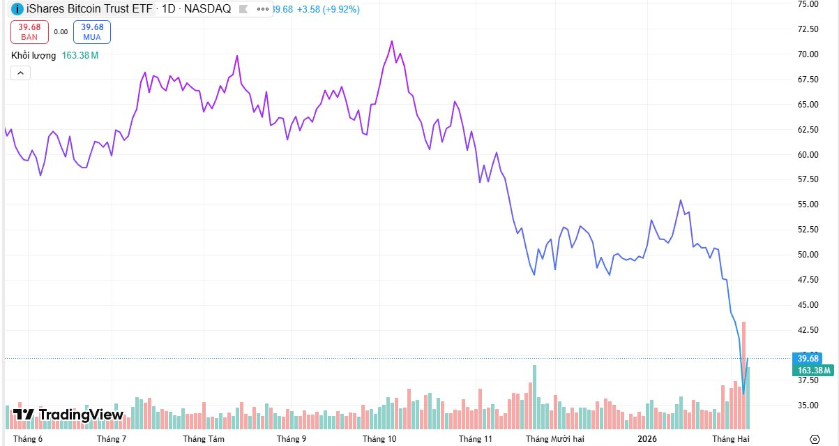 "Cá voi" Bitcoin vừa lập kỷ lục chưa từng có - Ảnh 1