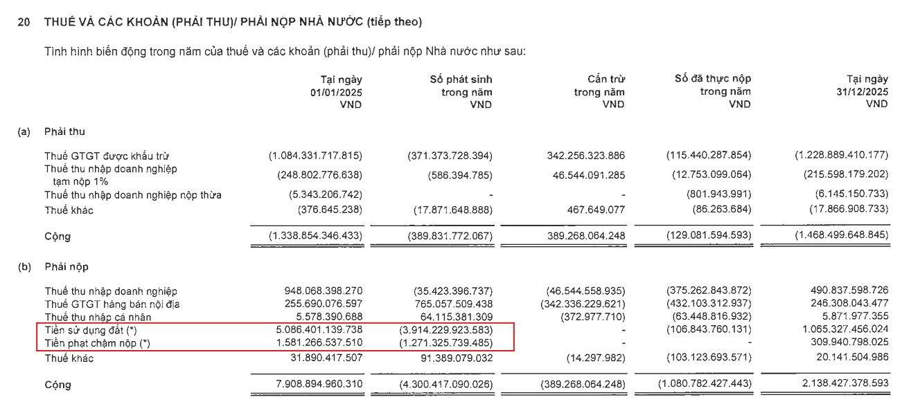 Novaland lãi 1.800 tỷ hay lỗ 1.600 tỷ: Giải mã cách Khu đất vàng 30ha 'cứu nguy' lợi nhuận phút chót - Ảnh 3