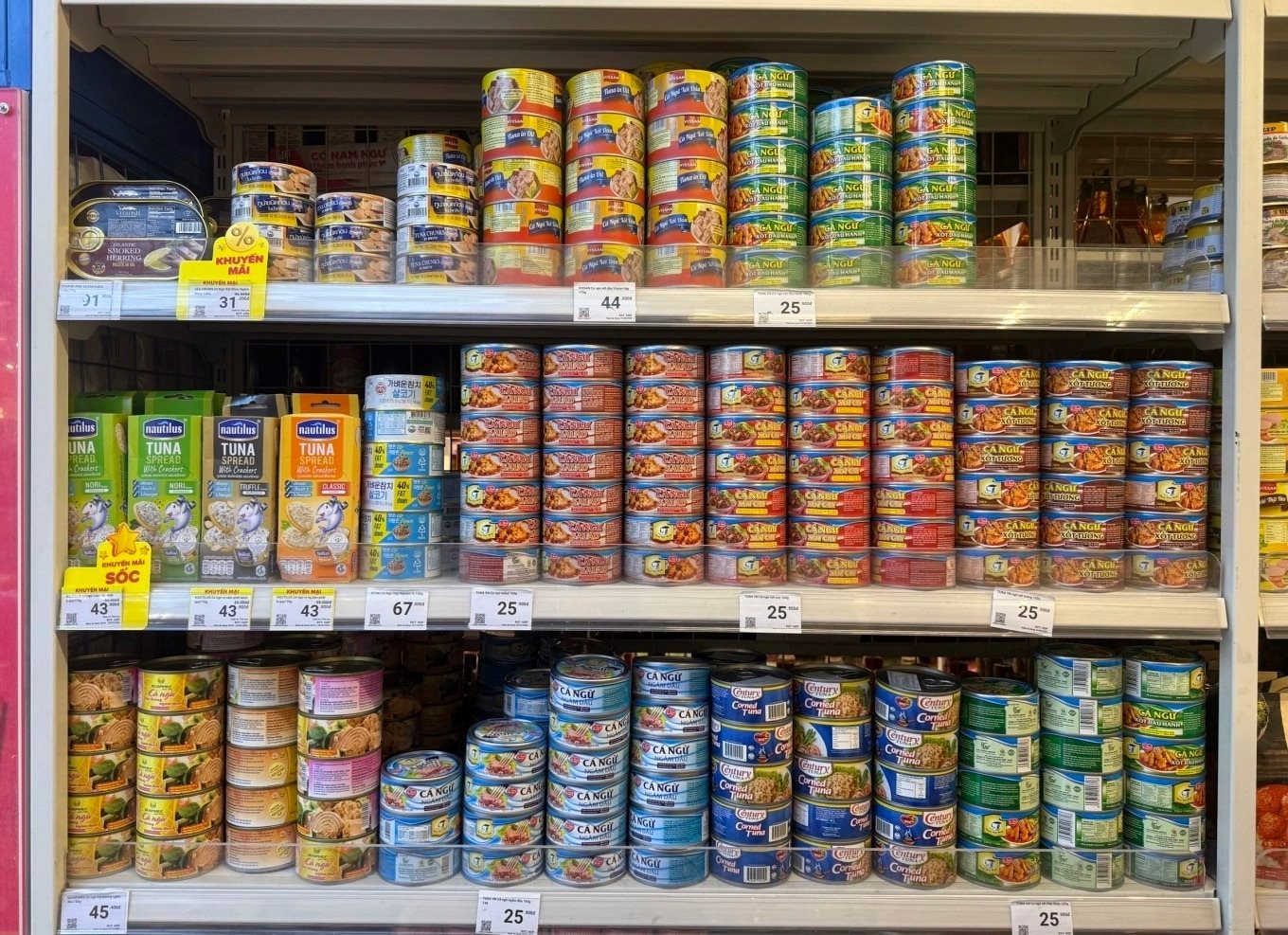 Đồ hộp Hạ Long báo lỗ quý 4/2025 kỷ lục 9,5 tỷ đồng trong hơn 2 thập kỷ sau lùm xùm thịt heo bệnh - Ảnh 2