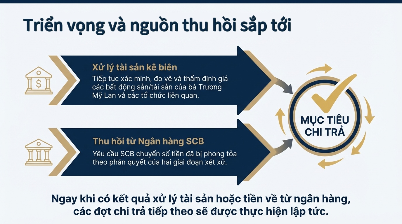 Thi hành án kỷ lục vụ Trương Mỹ Lan: Những con số - Ảnh 9