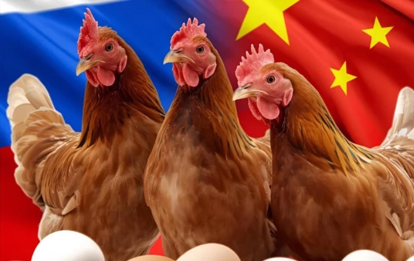 Chứng kiến hiện tượng chưa từng có với Trung Quốc, Nga đưa ra cảnh báo - Ảnh 1