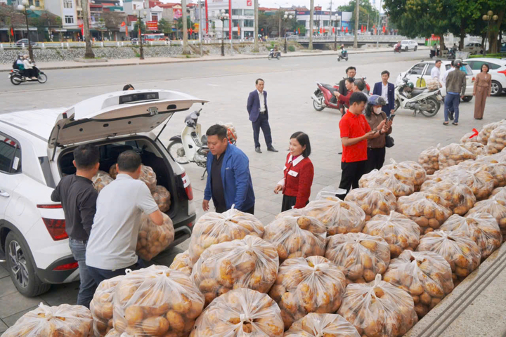 Lãnh đạo xã ở Hưng Yên livestream bán 4,5 tấn khoai tây giúp dân - Ảnh 3