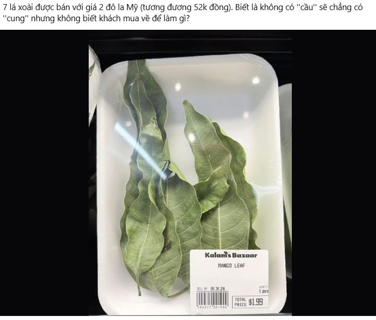 7 lá xoài giá 52.000 đồng ở Mỹ: Thứ bỏ đi ở Việt Nam lại thành hàng bán, người ta mua về làm gì? - Ảnh 2
