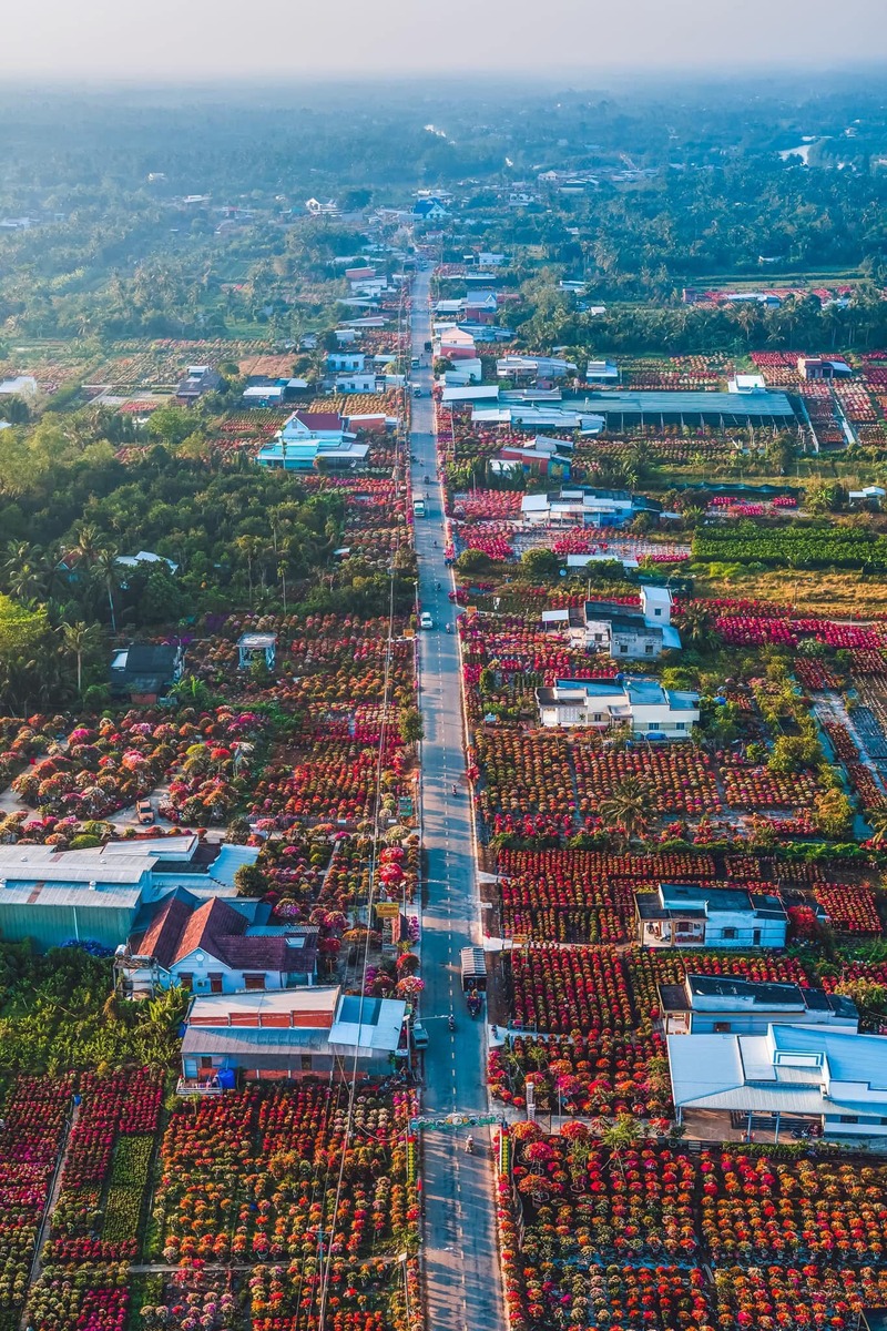 Làng hoa miền Tây đẹp nhất Việt Nam, cả nước sững sờ - Ảnh 4