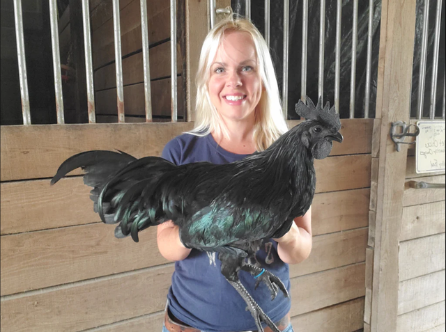 Nghề nuôi con kỳ lạ ở Việt Nam: Loài vật đen sì toàn thân, trứng giá cả triệu đồng vẫn không đủ bán - Ảnh 4