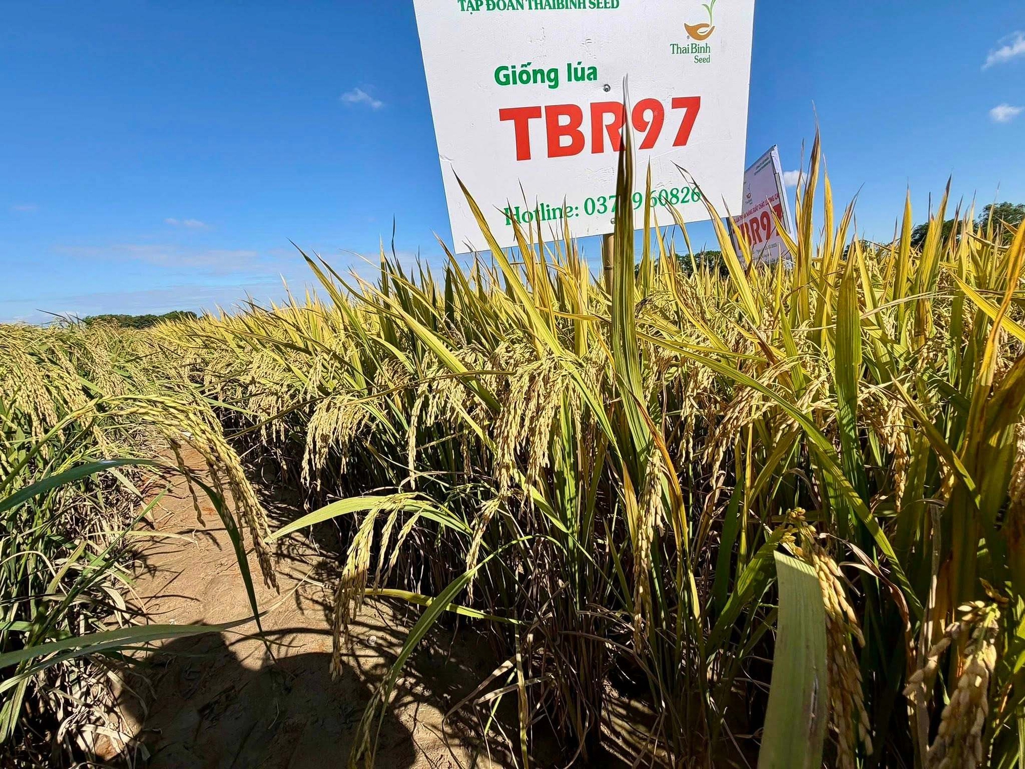 Từ ký ức về nạn đói 1945, người thương binh từ bỏ vị trí cán bộ để về làm công nhân, tạp vụ, đến quyết định "trái cơ chế" để thay đổi đời sống nông dân - Ảnh 2