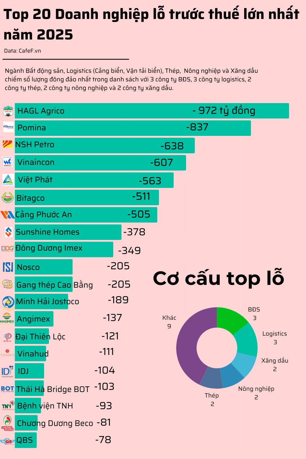 20 doanh nghiệp lỗ trước thuế lớn nhất năm 2025: HAGL Agrico lỗ gần 1.000 tỷ, bất động sản, logistics chiếm sóng - Ảnh 2