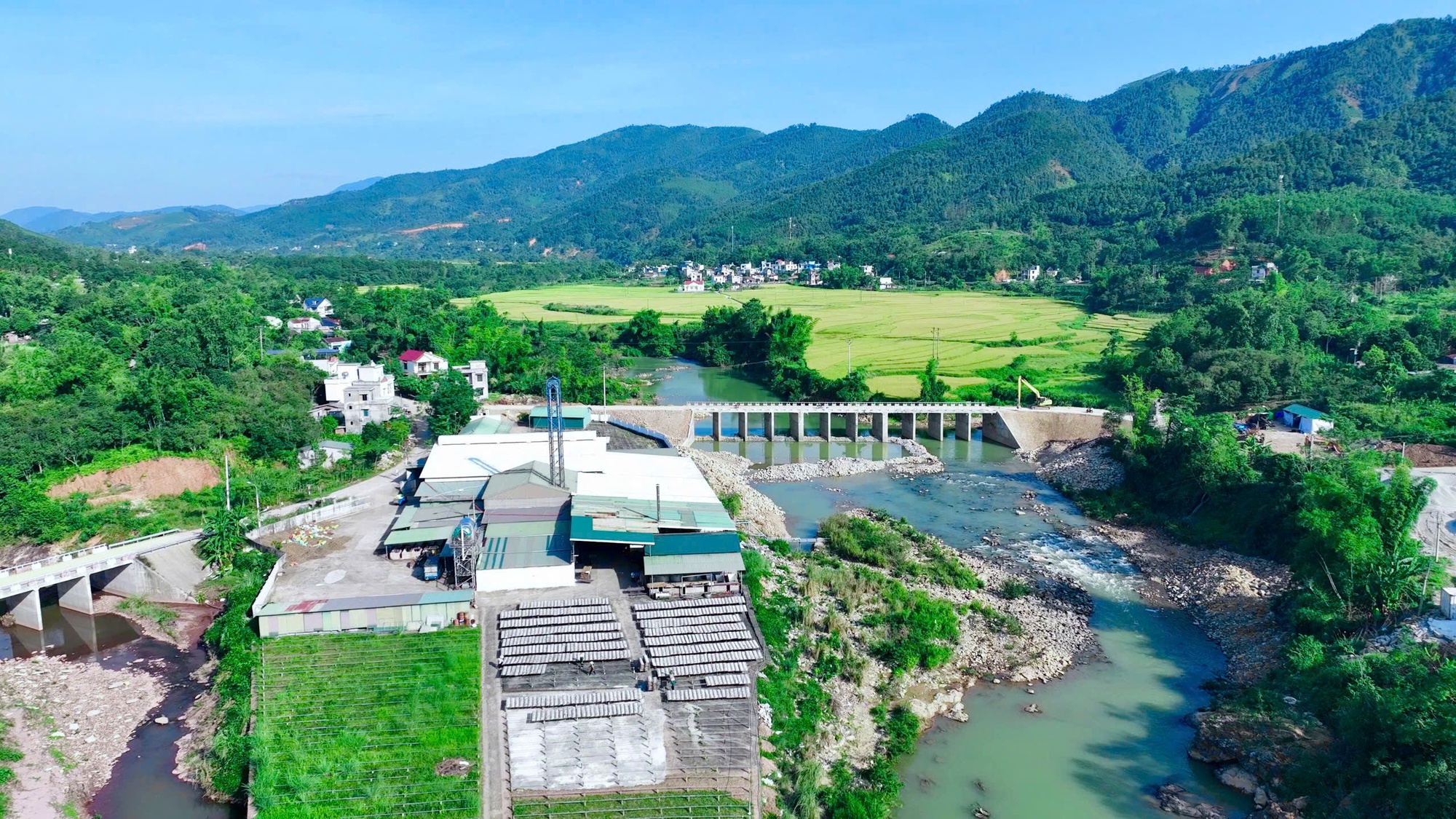 Đặc sản "cháy hàng" dịp Tết: Giúp chàng trai 25 tuổi cán mốc doanh thu 10 tỷ đồng - Ảnh 1