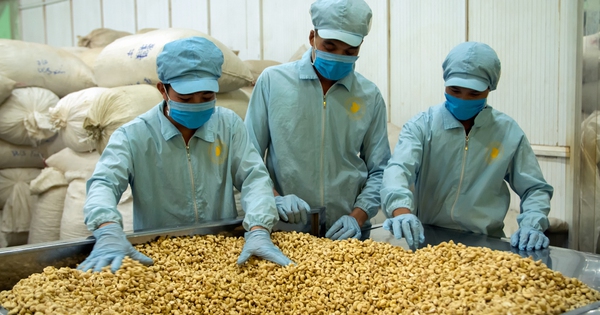 Nhập khẩu 65 nghìn tấn 'hạt vàng' - quốc gia này giúp Việt Nam 'bỏ túi' hơn 430 triệu USD ngay đầu năm mới Bính Ngọ