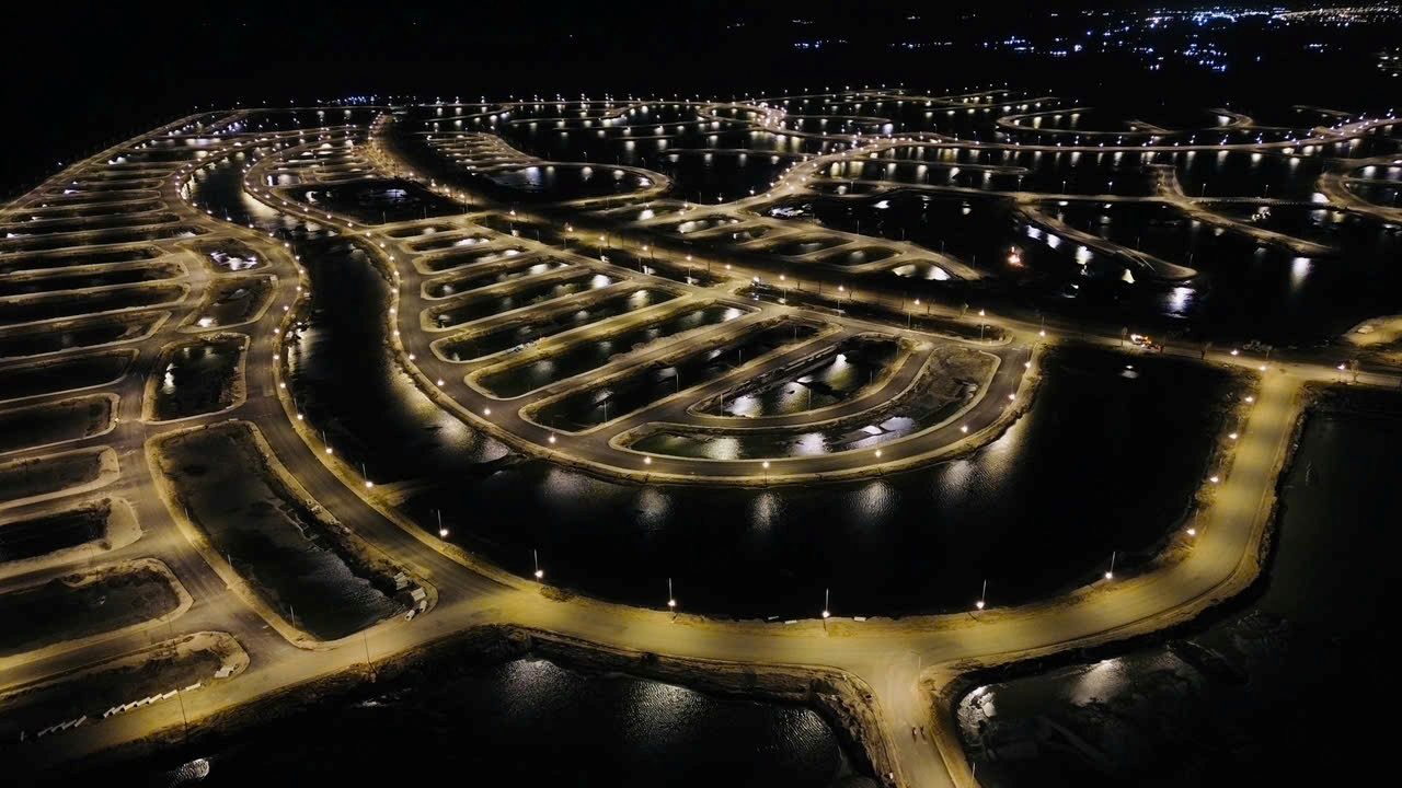 Sức hút nào khiến khách hàng chốt giao dịch ngay tại Cần Giờ? - Ảnh 4