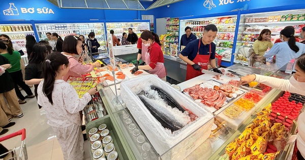 Khi khát vọng vươn ra thế giới trở thành động lực tăng trưởng dài hạn