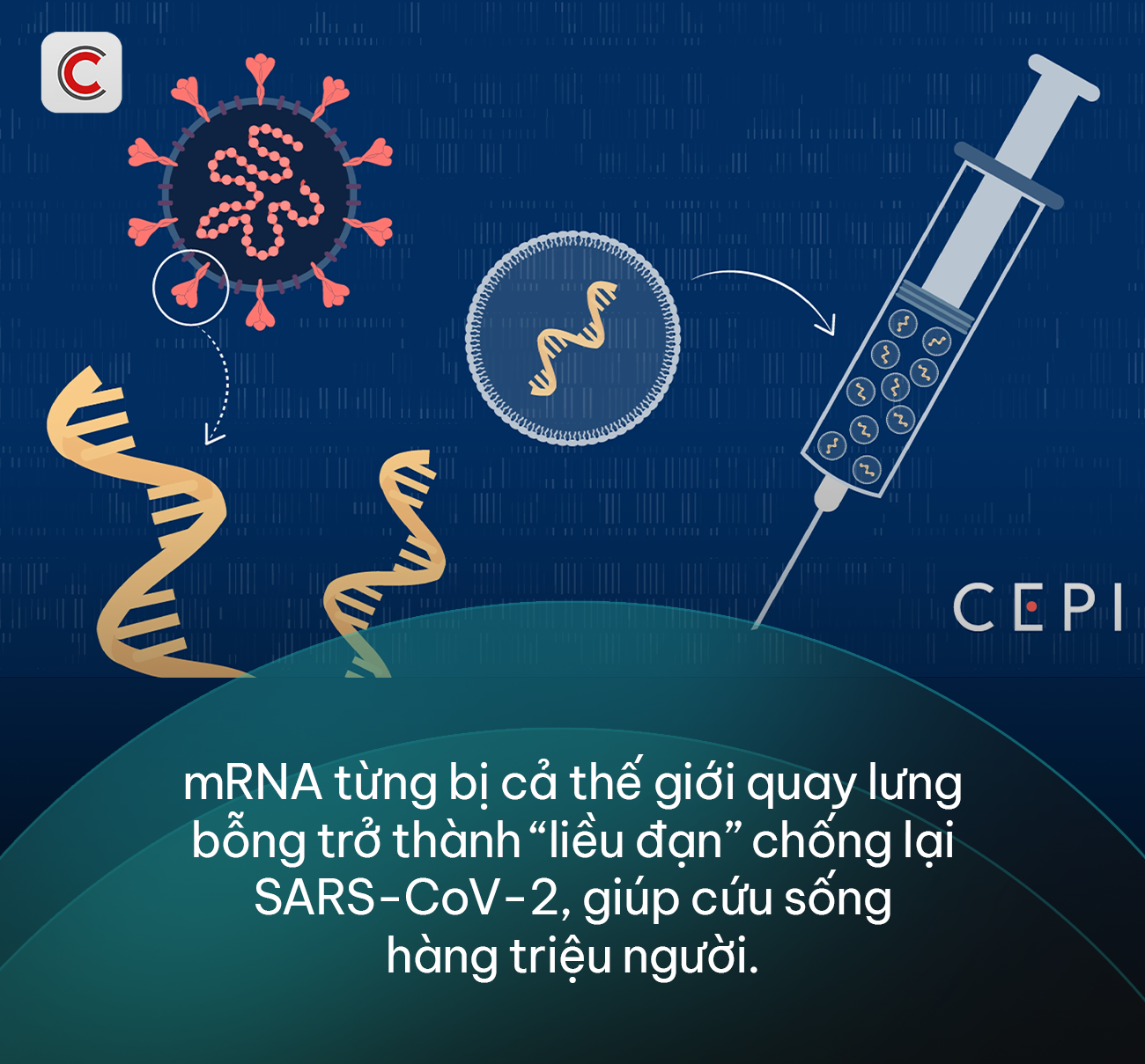 Nipah và câu hỏi chưa có lời đáp sau 6 năm đại dịch Covid-19: Nhân loại đã trưởng thành hơn sau đại dịch, hay chỉ cảnh giác hơn? - Ảnh 3