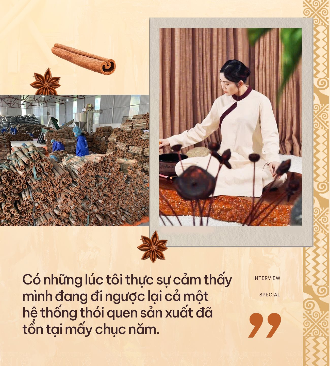 Bị gọi là “điên” vì làm hữu cơ, CEO Vinasamex Nguyễn Thị Huyền bắt tay nông dân nâng thu nhập lên 120-150 triệu đồng/ha quế hồi, nuôi tham vọng IPO - Ảnh 8