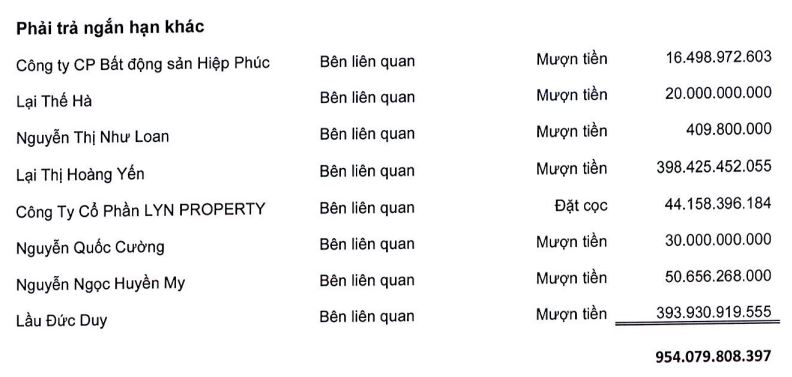 Quốc Cường Gia Lai báo lãi tăng gấp đôi, bán vốn công ty liên kết cho người thân lãnh đạo - Ảnh 2