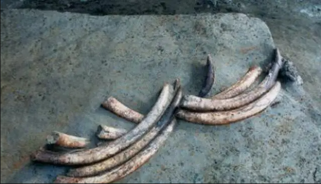 Đống "đất thải" bị bỏ quên ven đường 30 ngày không ai để ý, chuyên gia nhặt lên rồi trở thành quốc bảo - Ảnh 2