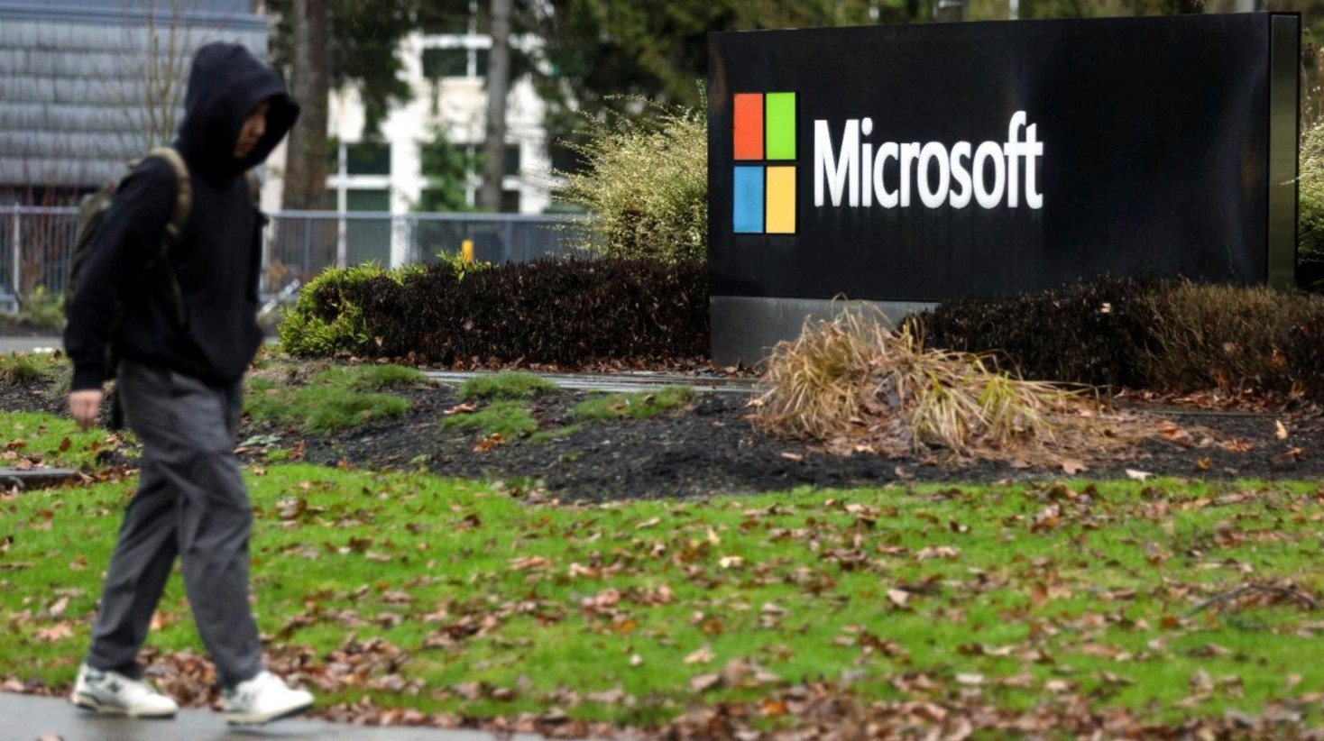 “Tôi như bị phản bội”: Tiếng than xé lòng của giám đốc Microsoft 62 tuổi mất việc sau 31 năm cống hiến, AI chẳng từ một ai - Ảnh 1