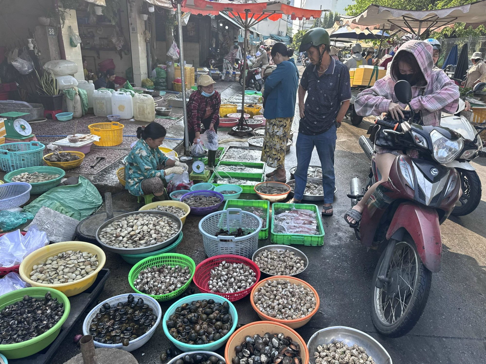 Hải sản giá vẫn cao sau Tết - Ảnh 4