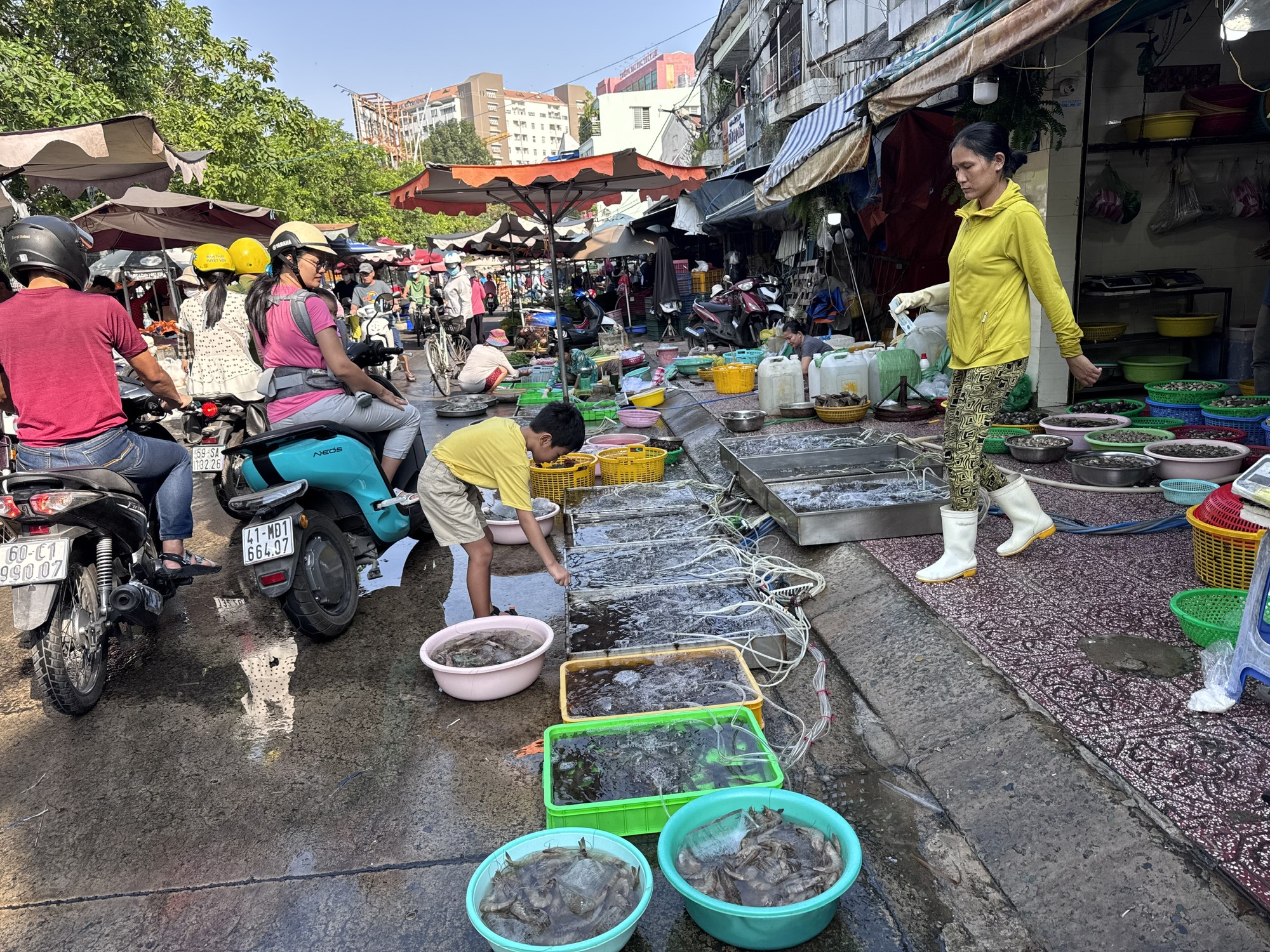 Hải sản giá vẫn cao sau Tết - Ảnh 5