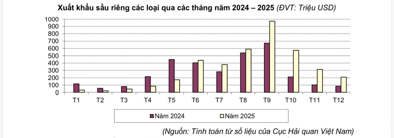 Cú lội ngược dòng của sầu riêng Việt - Ảnh 1