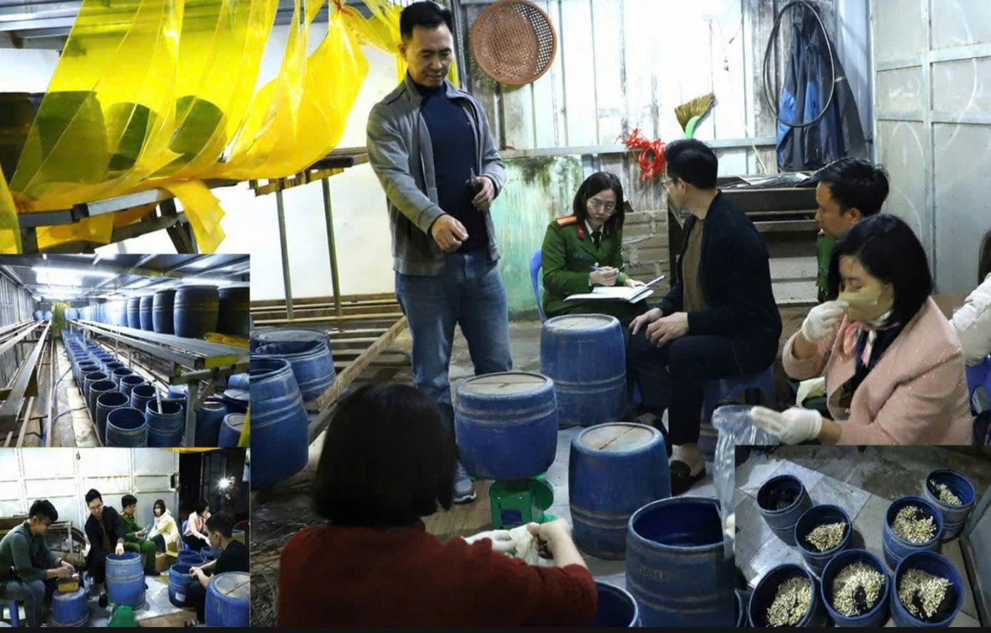 Bắt chủ cơ sở dùng ‘nước kẹo’ để sản xuất gần 2,8 tấn giá đỗ - Ảnh 1