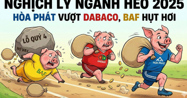 Cứ 100 đồng tài sản, Nông nghiệp Hòa Phát thu về 34 đồng lãi, hiệu suất "không đối thủ" khiến Dabaco và BAF phải hít khói