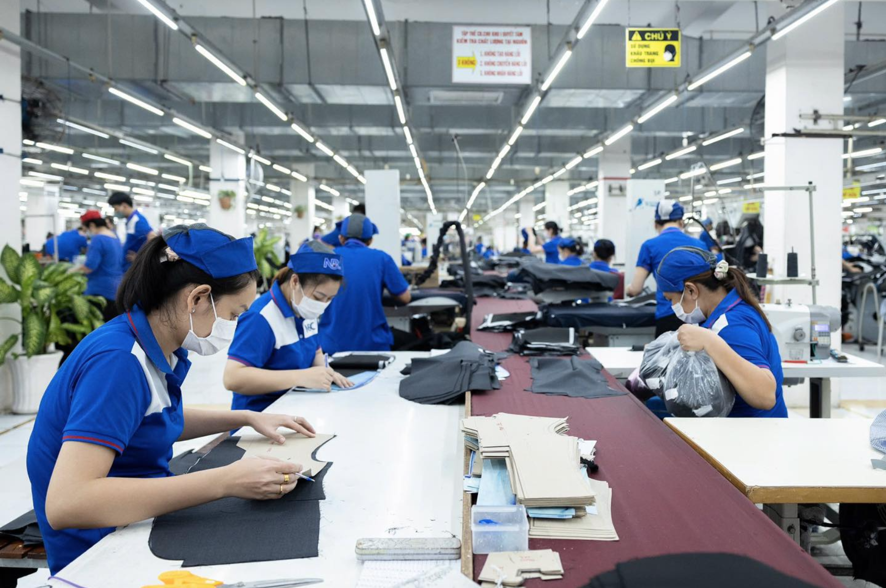 Nhìn lại một năm thăng trầm thị trường việc làm - Ảnh 1