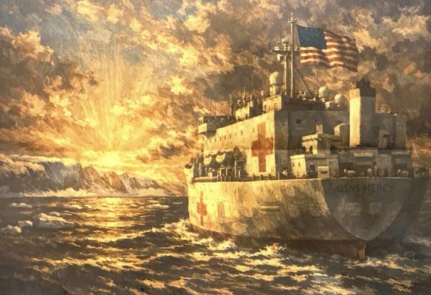 Điều tàu bệnh viện đến Greenland, ông Donald Trump nói gì? - Ảnh 1