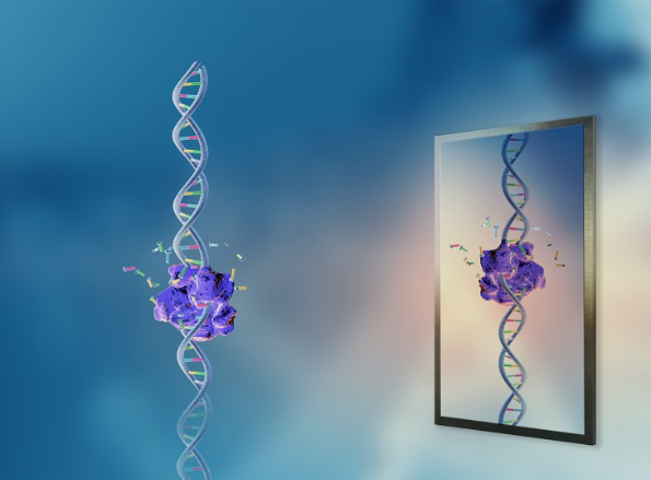 Lời cảnh báo về thứ có thể khiến Trái đất tận thế - Ảnh 3