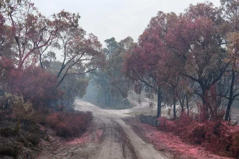 Trong khi nhiều nước co ro vì lạnh, 1 quốc gia hứng nắng nóng 50°C: “Trời nóng khủng khiếp!” - Ảnh 1
