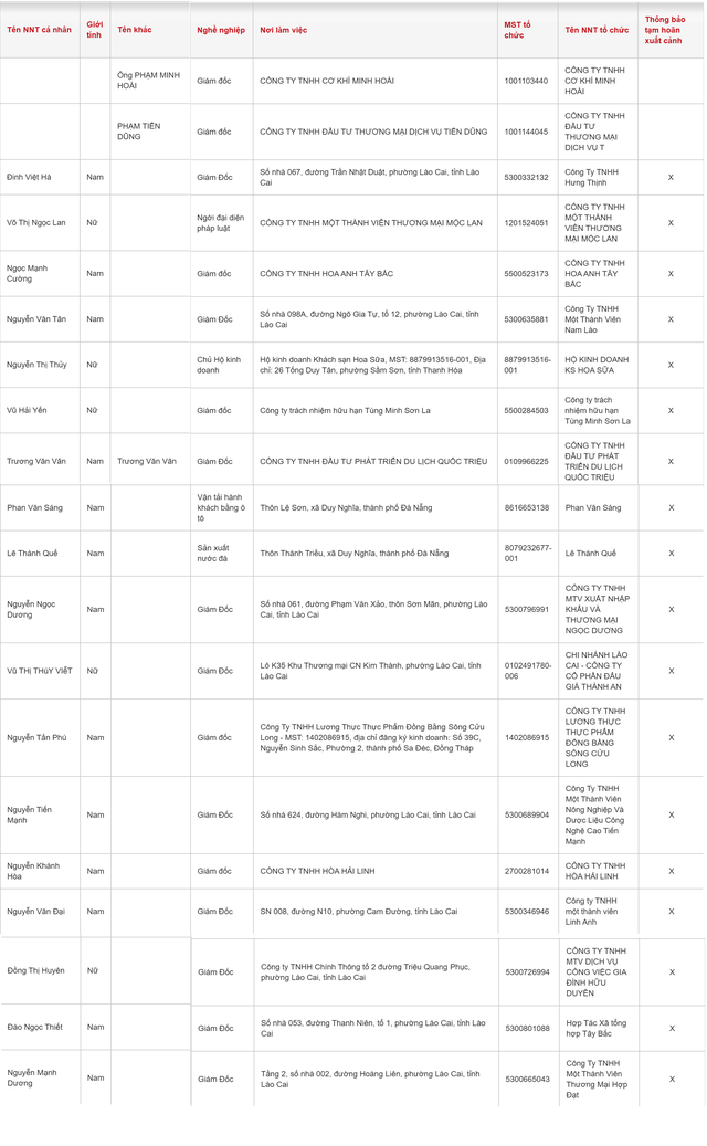 Cận Tết, thêm loạt Giám đốc doanh nghiệp bị tạm hoãn xuất cảnh: Nhiều cái tên quen thuộc - Ảnh 1