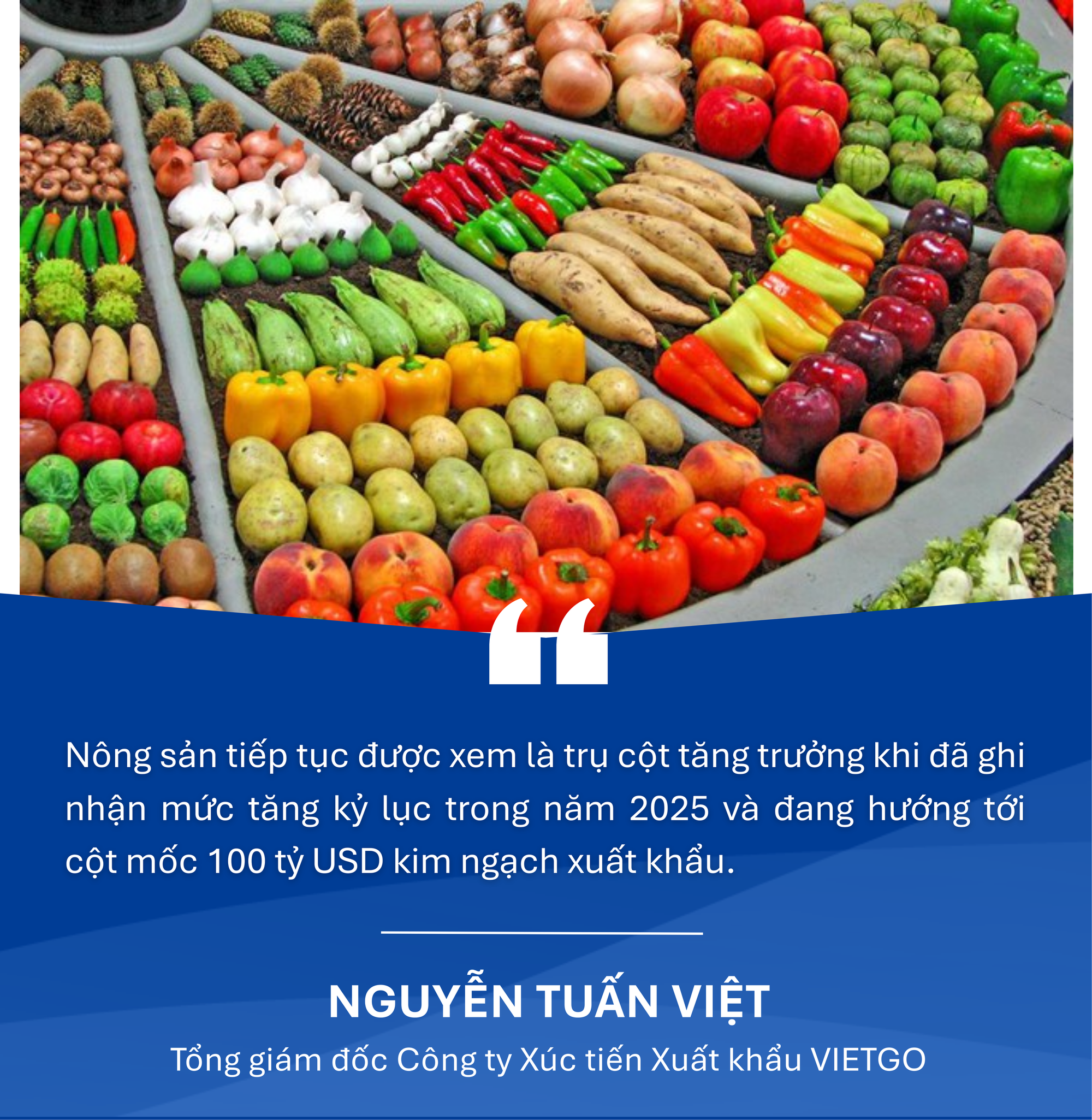 Tổng kim ngạch xuất nhập khẩu Việt Nam hướng mốc 1.000 tỷ USD: Ngành nào sẽ dẫn sóng năm 2026? - Ảnh 5