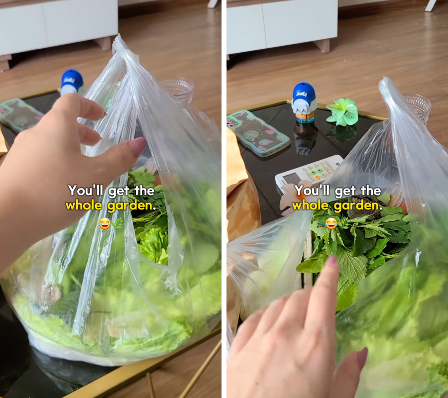 Khách Tây gọi tô bún 35k ở Việt Nam được tặng kèm cả 1 khu vườn, rồi vỡ lẽ ra 1 chân lý chỉ có ở người bản địa - Ảnh 3