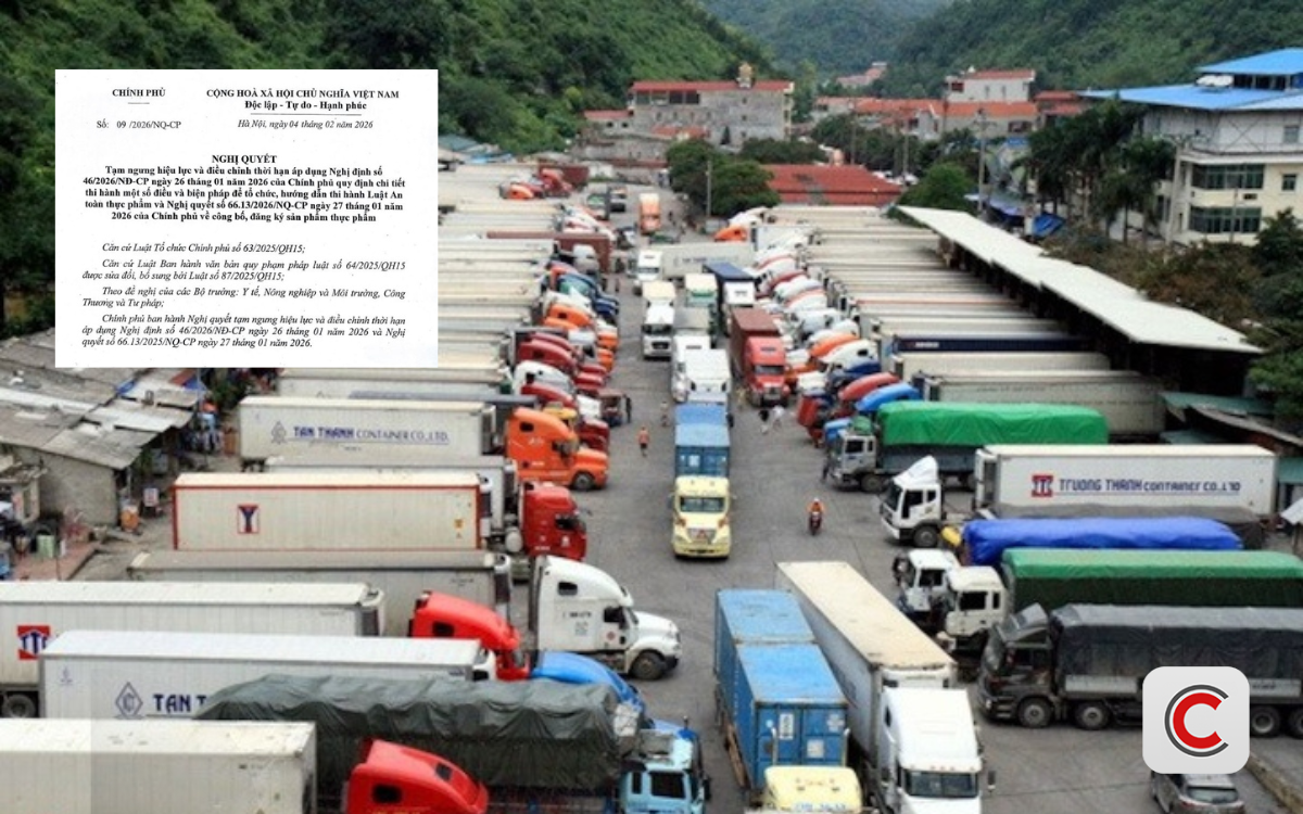 Chính thức: Tạm ngưng hiệu lực và điều chỉnh thời hạn áp dụng Nghị định số 46 - Ảnh 1