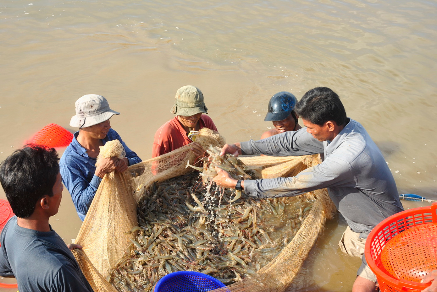 Tiềm ẩn rủi ro 'đứt gãy' thông tin truy xuất thủy sản - Ảnh 1