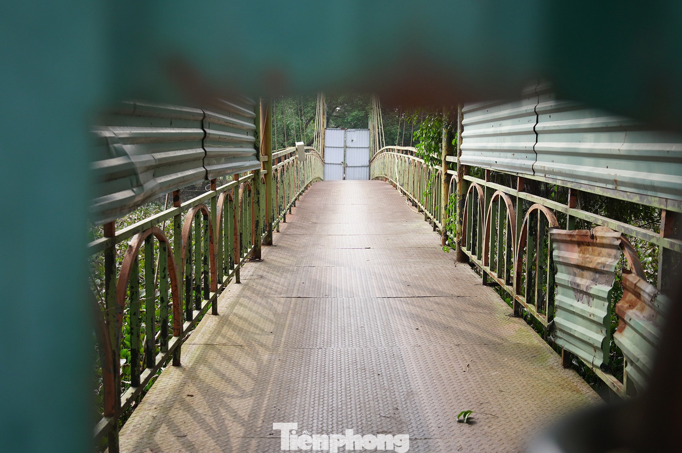 Khu sinh thái 15ha giữa Hà Nội bị bỏ hoang, hóa thành bãi rác, sân pickleball - Ảnh 10