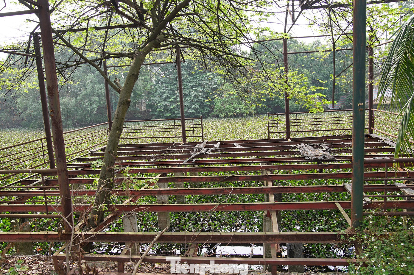 Khu sinh thái 15ha giữa Hà Nội bị bỏ hoang, hóa thành bãi rác, sân pickleball - Ảnh 9