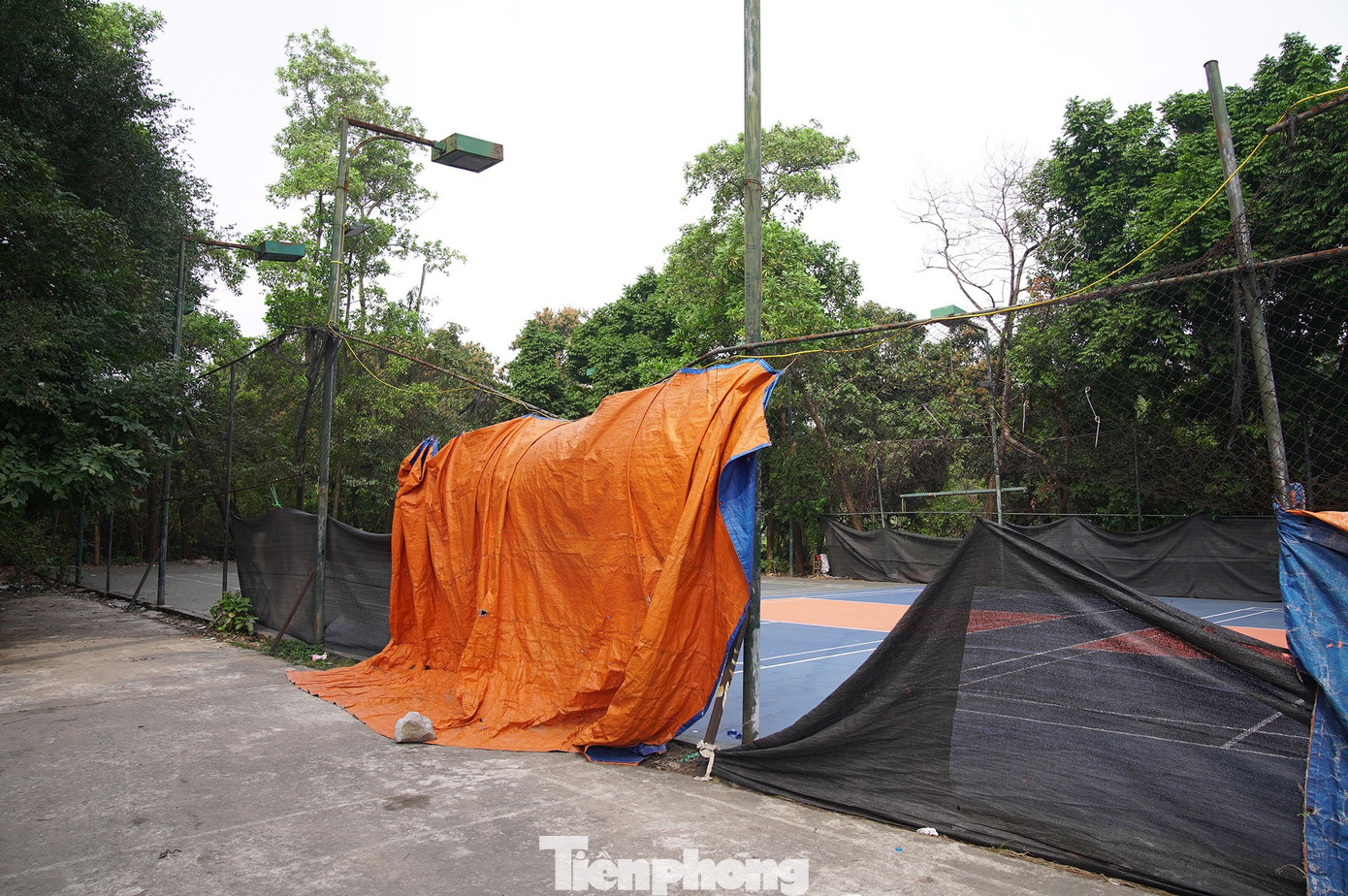 Khu sinh thái 15ha giữa Hà Nội bị bỏ hoang, hóa thành bãi rác, sân pickleball - Ảnh 6