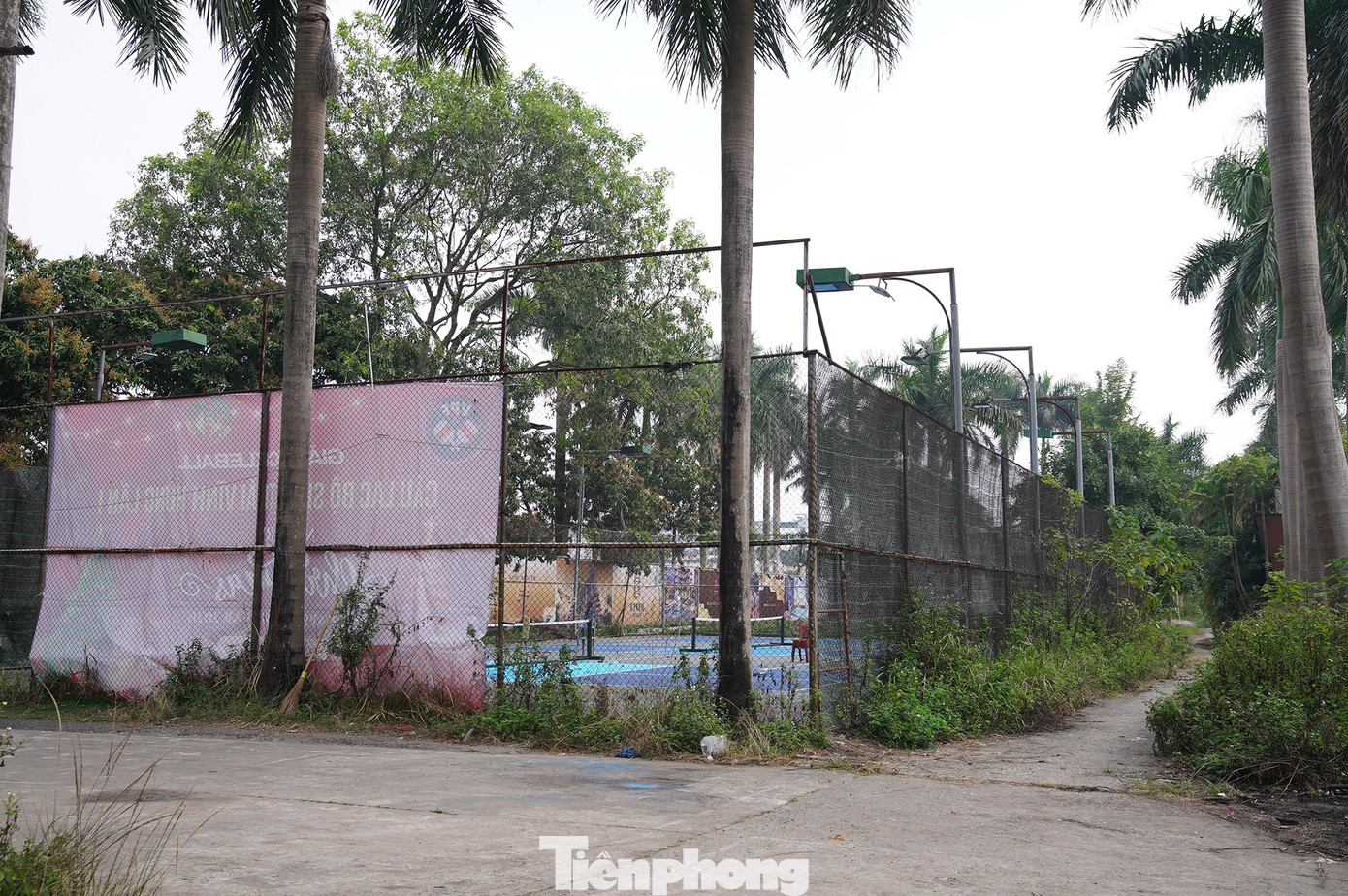 Khu sinh thái 15ha giữa Hà Nội bị bỏ hoang, hóa thành bãi rác, sân pickleball - Ảnh 7